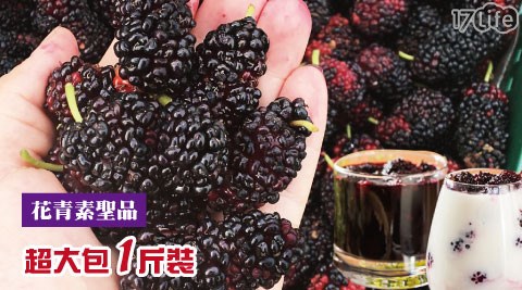 村子口-天然野生桑葚果