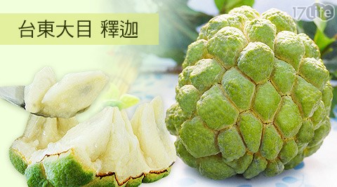 台東大目釋迦5斤系列