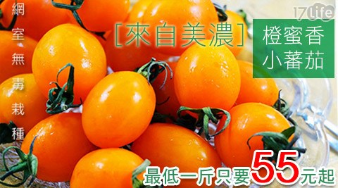 美濃橙蜜香小蕃茄3台斤裝