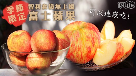 季節限定智利套袋無上蠟富士蘋果(秋香) 季節限定智利套袋無上蠟富士蘋果(秋香)