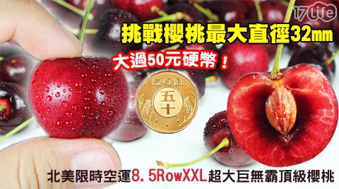 北美限時空運8.5RowXXL超大巨無霸頂級櫻桃