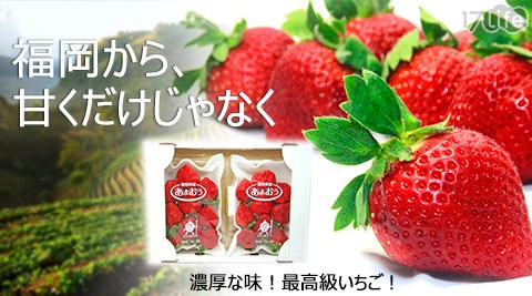 日本空運限定-冬之戀熊本台中 麗 寶福岡鮮採草莓1盒(300g)