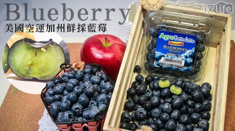 美國空運加州鮮採藍莓