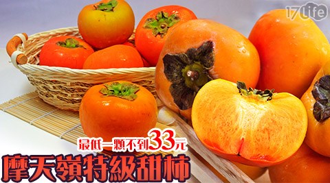 摩天嶺特級/特等級甜柿
