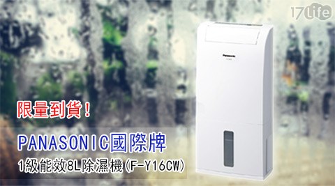 PANASONIC國際牌-1級能效 8L除濕月 眉 賽車 場機(F-Y16CW)1台