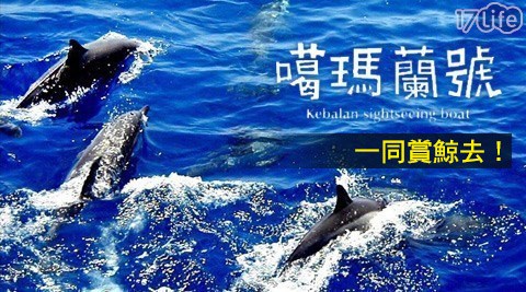 噶瑪蘭賞鯨-宜蘭頭城龜山島不分平假日賞鯨趣