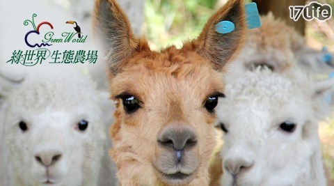 綠世界生態農場-大自然親子同遊專案