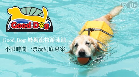 Good Dog 妙狗寵物游泳池-寵物游泳池門票一張
