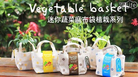 Vegetable basket迷你蔬菜麻布袋植栽系列