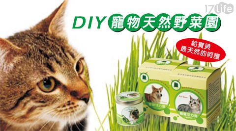 迎光-檸檬 網購DIY寵物天然野菜園