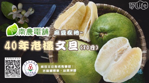【南農嚴選】吉園圃認證麻豆在地40年老欉文旦禮盒(10斤/箱)
