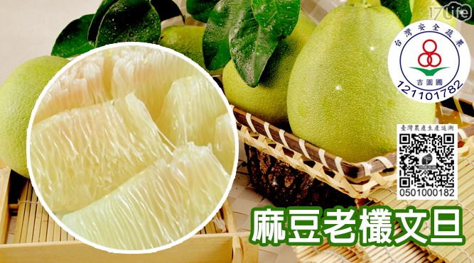 正宗麻豆張家-30年老欉18菌(優酪乳菌)栽種吉園圃文旦 正宗麻豆張家-30年老欉18菌(優酪乳菌)栽種吉園圃文旦