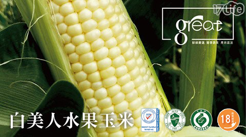 鮮綠農產-18度高甜度白美人水果玉米