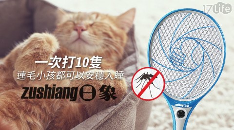 日象-特極一級棒充電式特大電蚊拍(ZOE台北 福 華 名品M-5800)
