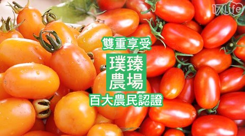 百大農民認證-璞臻農場-雙色小蕃茄