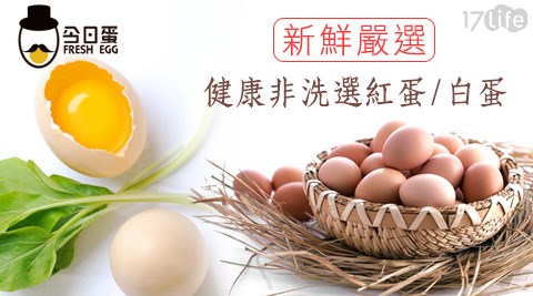 今日蛋-新鮮嚴選健康非洗選白蛋/紅蛋系列