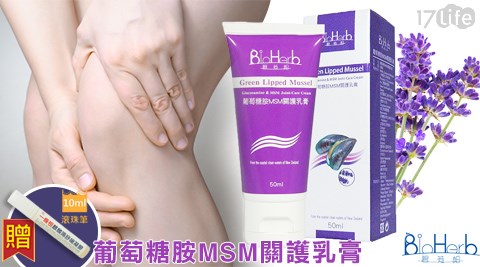 BioHer17life刷卡b-葡萄糖胺MSM關護乳膏