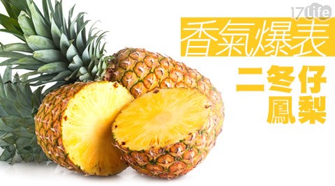 香氣爆表二冬仔鳳梨,蔬菜水果推薦2016 香氣爆表二冬仔鳳梨