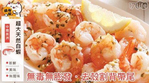 極鮮配-無毒無膨發去殼割背帶尾大白蝦仁