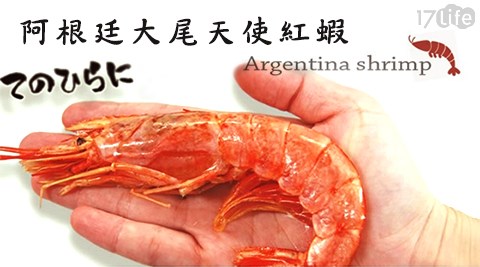 阿根廷大尾天使紅蝦