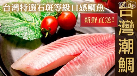 極鮮配-台灣鮮甜潮鯛魚片