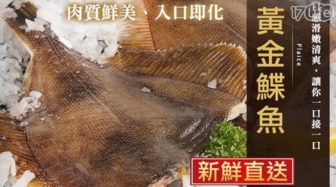 極鮮配-生凍黃金鰈魚