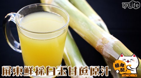 極鮮配-100%屏東鮮採白玉甘蔗原汁  