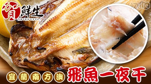 賀鮮生-宜蘭南方澳肥嫩美味飛魚一夜干  