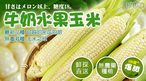 賀鮮生-牛奶水果玉米