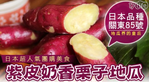 賀鮮生-超人氣大份量紫皮奶香日本栗子地瓜即食高纖飽足(1kg/包)