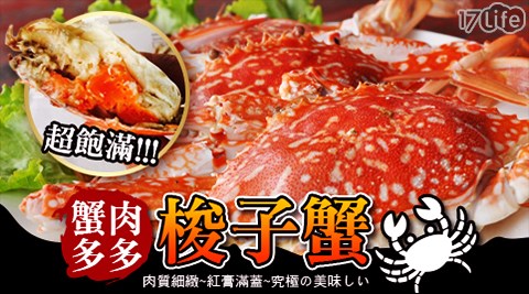 賀鮮生-蟹肉多多-梭子蟹