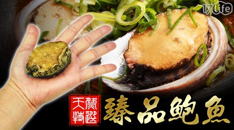 賀鮮生-特選臻品鮑魚