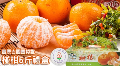豐原吉園圃認證特級椪柑5斤禮盒