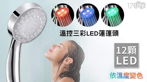 溫控三彩LED板橋 小 蒙牛蓮蓬頭