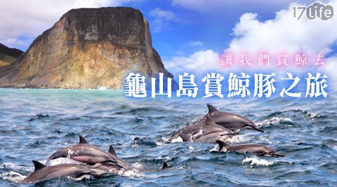 新福豐36號賞鯨旅遊-讓我們賞鯨去專案  