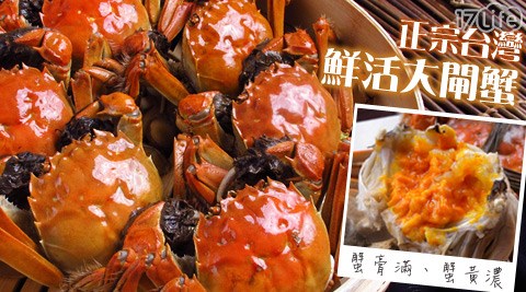 正宗台灣鮮活大閘蟹5兩