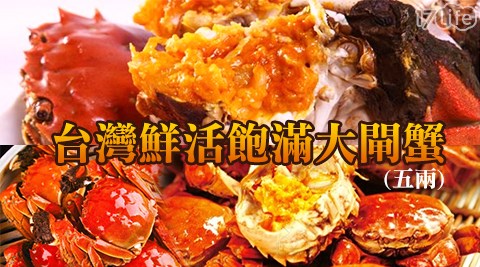 正宗台灣鮮活大閘蟹5兩