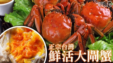 正宗台灣鮮活大閘蟹系列