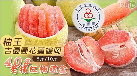 【柚王】吉園圃花蓮鶴岡40年老欉紅柚禮盒(5斤)