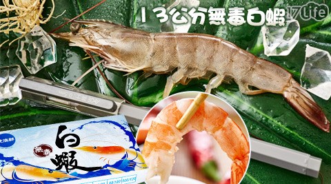 飧溢鮮-產地直送現撈活凍13公分大Size無毒白蝦