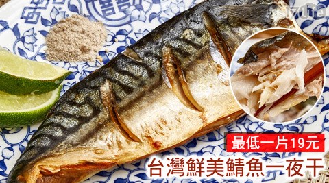 漁季-台灣鮮美鯖魚一夜干