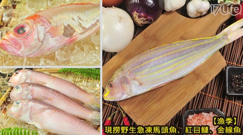漁季-現17life 電腦 版撈野生急凍馬頭魚/紅目鰱/金線魚任選