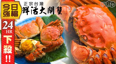 臺灣蟹老闆-正宗台灣鮮活大閘蟹5.2兩-5.8兩