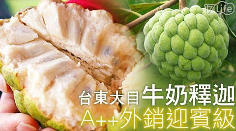 台東大目大顆牛奶釋迦5台斤裝