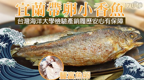 築地一番鮮-帶卵小香魚(14尾/1KG±5%)