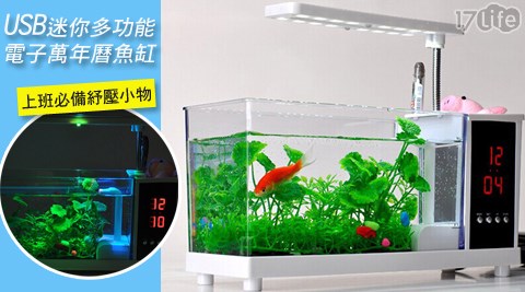 USB迷你多功能電子萬年曆魚缸 