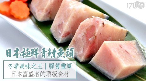 日本極鮮青魽魚頭