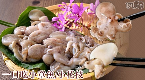 一口吃小章魚/小花枝