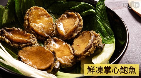 極鮮活凍掌心鮑魚