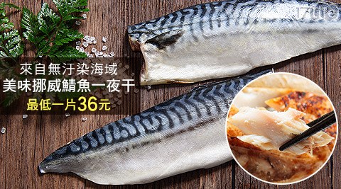 美味挪威鯖魚一夜干